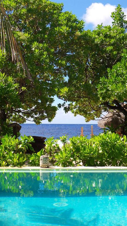 Green Lodge Moorea Temae Exteriér fotografie